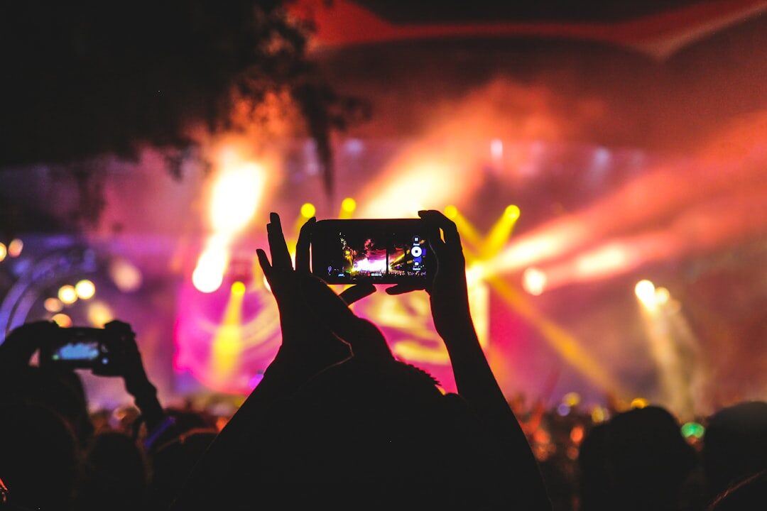 fans at music festival